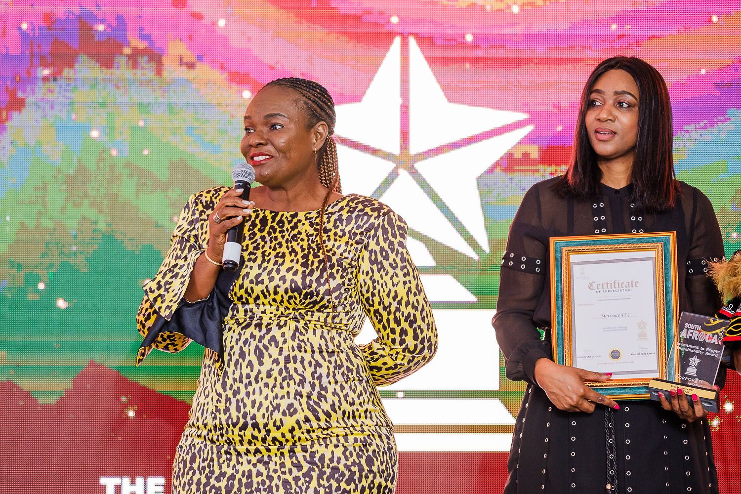 9 Years of Excellence: Celebrating Sustainability at the Corporate Awards in South Africa